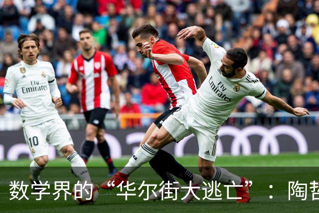 数学界的“华尔街大逃亡”：陶哲轩与AI的战争